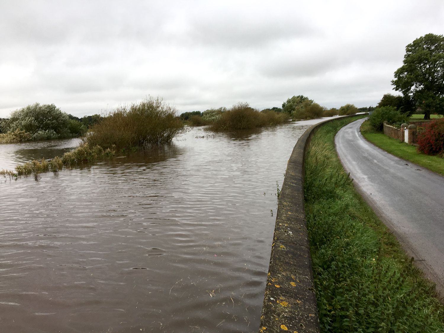 River Aire at Newland high water 1st October 2019